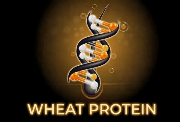 Wheat Protein ingredient graphic
